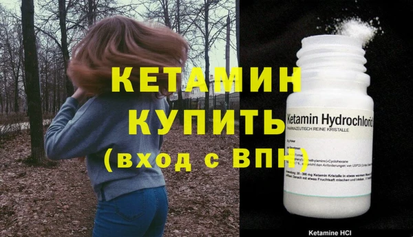прущие грибы Нягань