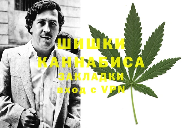 прущие грибы Нягань