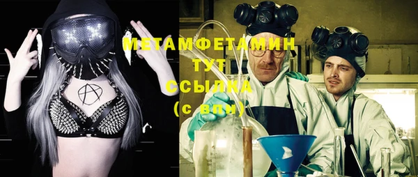 прущие грибы Нягань